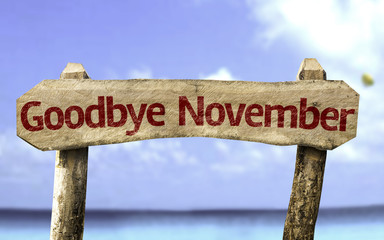 Goodbye November wooden sign with a beach on background