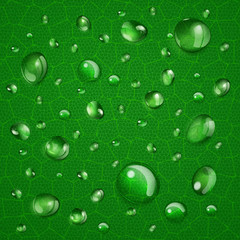 Background with drops on green leaf