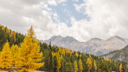 Zernez, Bergdorf, Passstrasse, Ofenpass, Engadin, Alpen, Schweiz