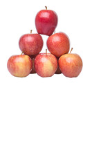 Royal gala apple on white background 