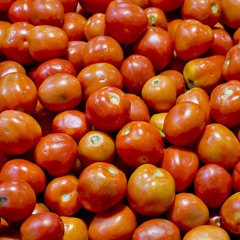 tomatoes background texture