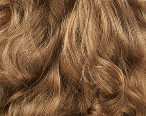 Hair fragment as a background composition