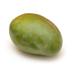 Mango fruit