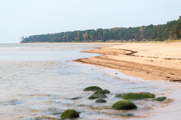 Shoreline of Baltic sea beach with rocks and sand dunes