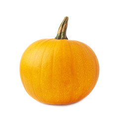 Orange pumpkin isolated