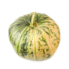 Green pumpkin isolated