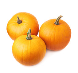 Orange pumpkin composition isolated