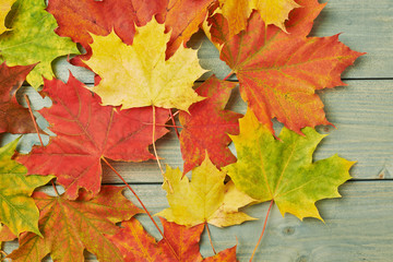 Maple leaves over the wooden boards