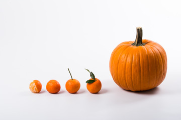 Pumpkin and ducklings