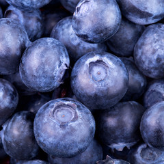 Blueberries