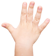 baby hand