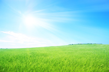 Obraz na płótnie Canvas Prato verde con cielo azzurro e raggi di sole - pianeta verde