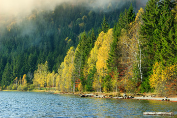 Majestic colorful autumn forest,Saint Anna Lake,Romania