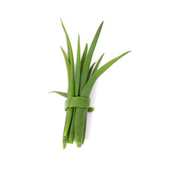 Fototapeta premium Green leek