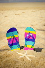 Fototapeta na wymiar Colorful flip-flops on sand beach