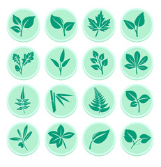 Green Leaf Flat Icons