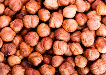 raw hazelnuts