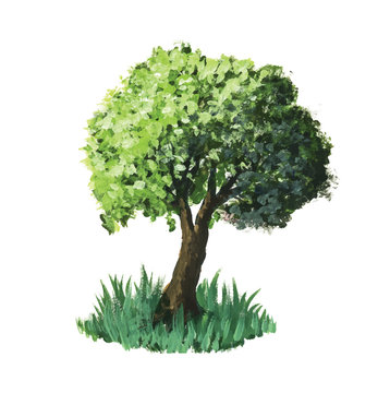 Watercolour vector tree
