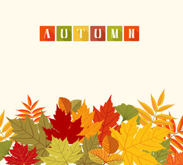 Background With Colorful Autumn Leaves