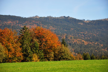 Dreisessel