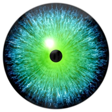 Illustration of a blue, green eye with light reflection.