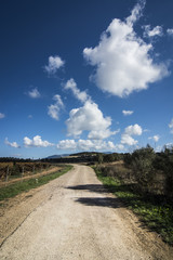 Fototapeta premium Countryside road