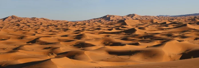 le désert de Merzouga