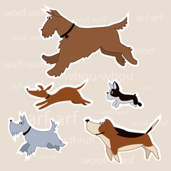 Cartoon dogs of different breeds isolated