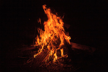 Bonfire at night - obrazy, fototapety, plakaty