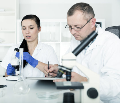 Couple of scientists at work in a laboratory
