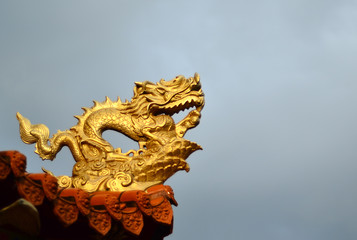Fototapeta na wymiar dragon doré