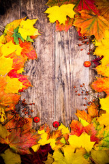 Naklejka na ściany i meble Autumn background, colorful tree leaves.