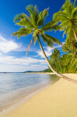 Obraz premium Exotic Paradise Idyllic Island