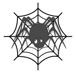 Spider with Web Vector