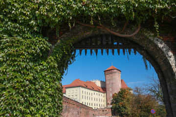 Cracow |  Wawel Castle