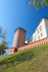 Cracow |  Wawel Castle