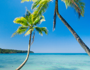Fototapeta premium Idyllic Island Exotic Paradise