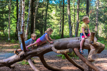 Siblings climbing on a big log in a forest