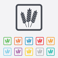 Agricultural sign icon. Gluten free or No gluten