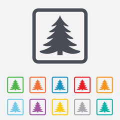 Obraz premium Christmas tree sign icon. Holidays button.