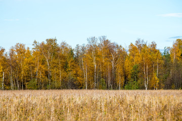 Autumn colored countryside landscape