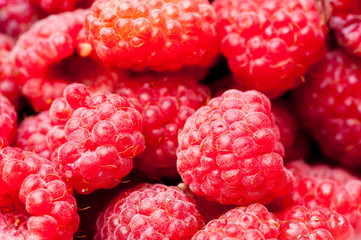sweet raspberry fruit
