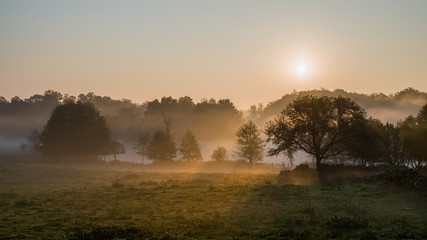 Sunrise, fog and trees landscape