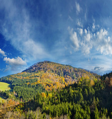 autumn landscape