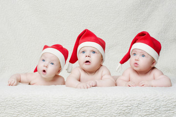 babies with santa hats on bright background