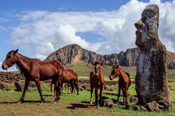 Horse near statues  on the Isla de Pascua. Rapa Nui. Easter