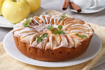 apple pie with cinnamon and mint on the plate closeup