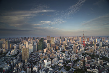amazing tokyo skyline