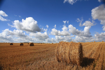 Fototapeta na wymiar lay hay on field clouds sun