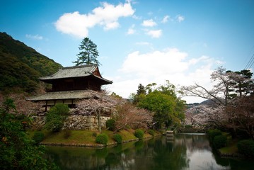 Fototapeta na wymiar Japanese mountainside shrine building